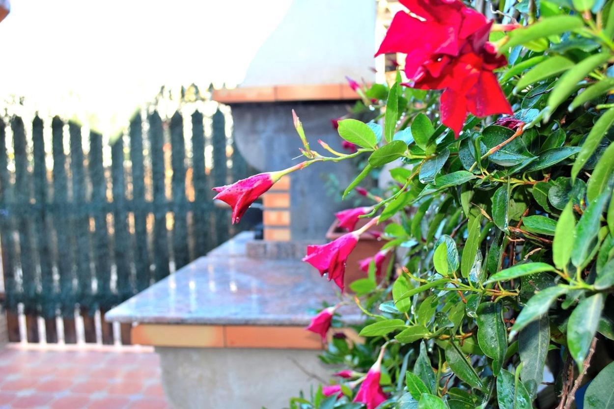 Bungalow En Camping De La Manga Εξωτερικό φωτογραφία