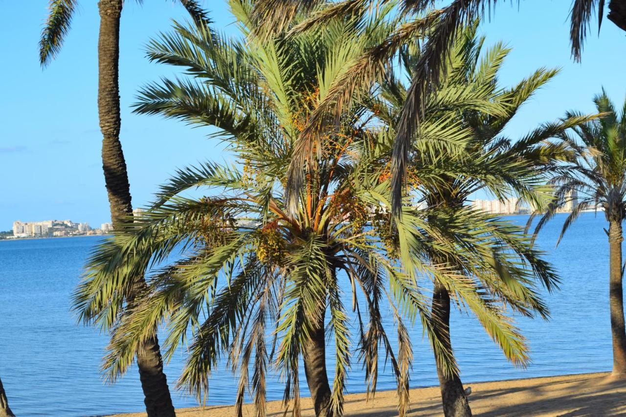 Bungalow En Camping De La Manga Εξωτερικό φωτογραφία